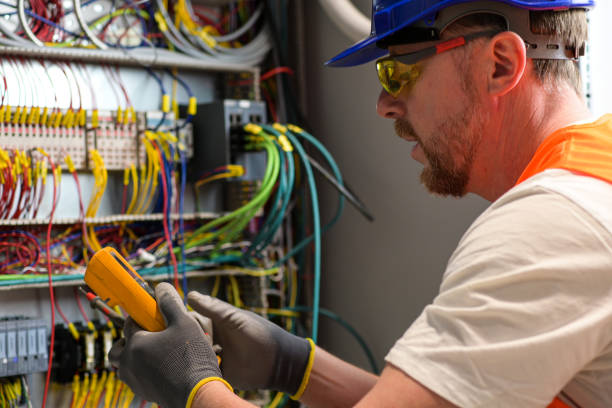 Best Electric Panel Repair  in Lorado City, CO